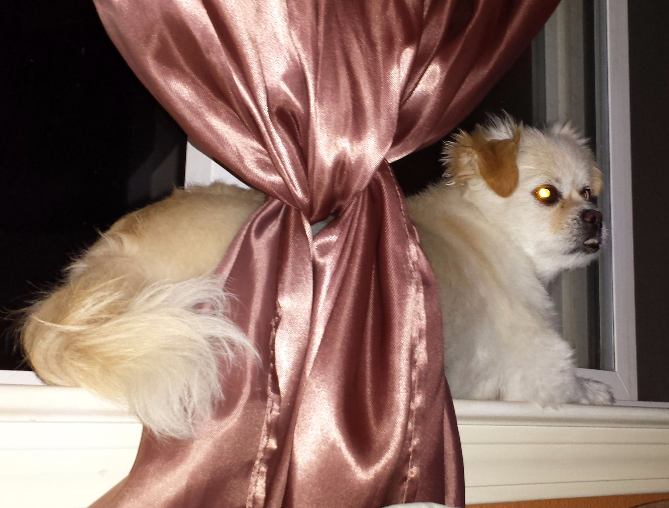 Bella comfortable